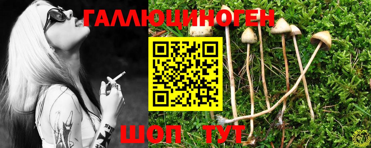 Псилоцибиновые грибы ЛСД Волгоград
