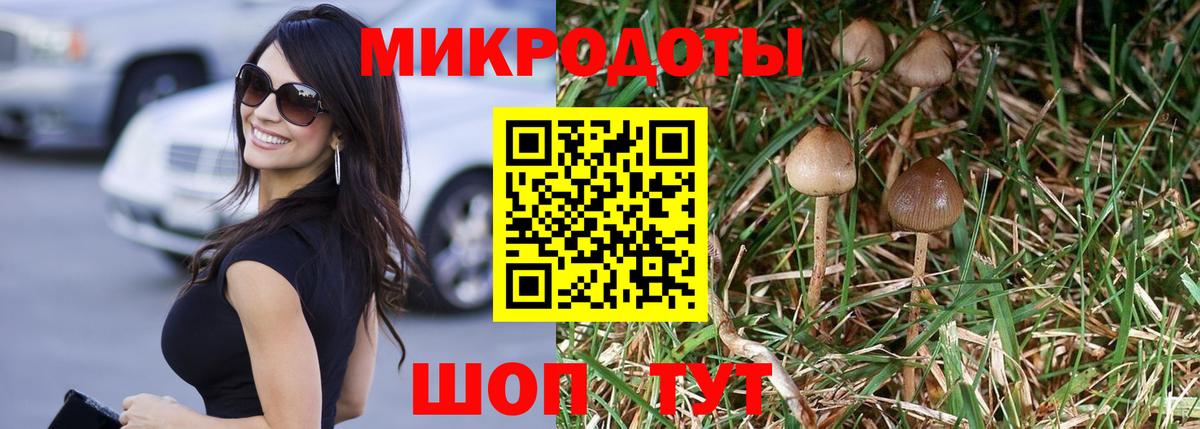 Псилоцибиновые грибы MAGIC MUSHROOMS  Вход с VPN  Галлюциногенные грибы Magic Shrooms  Волгоград 